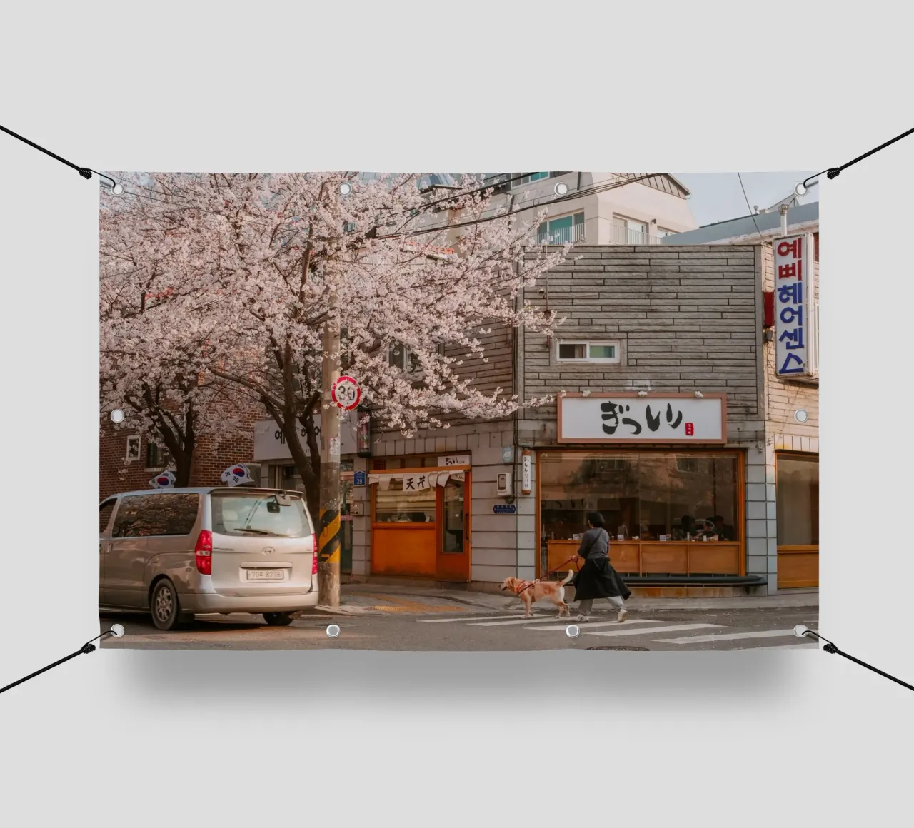 La via dei ciliegi in fiore a Seul, Corea del Sud telo in pvc da mbgraphx2