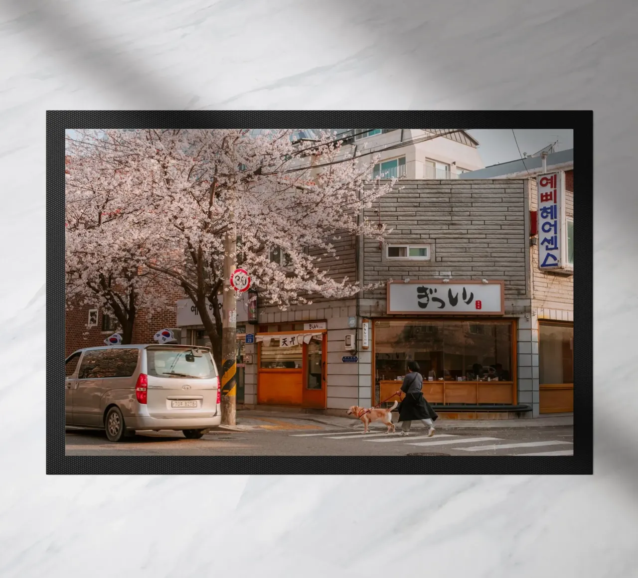 La via dei ciliegi in fiore a Seul, Corea del Sud zerbino da mbgraphx2