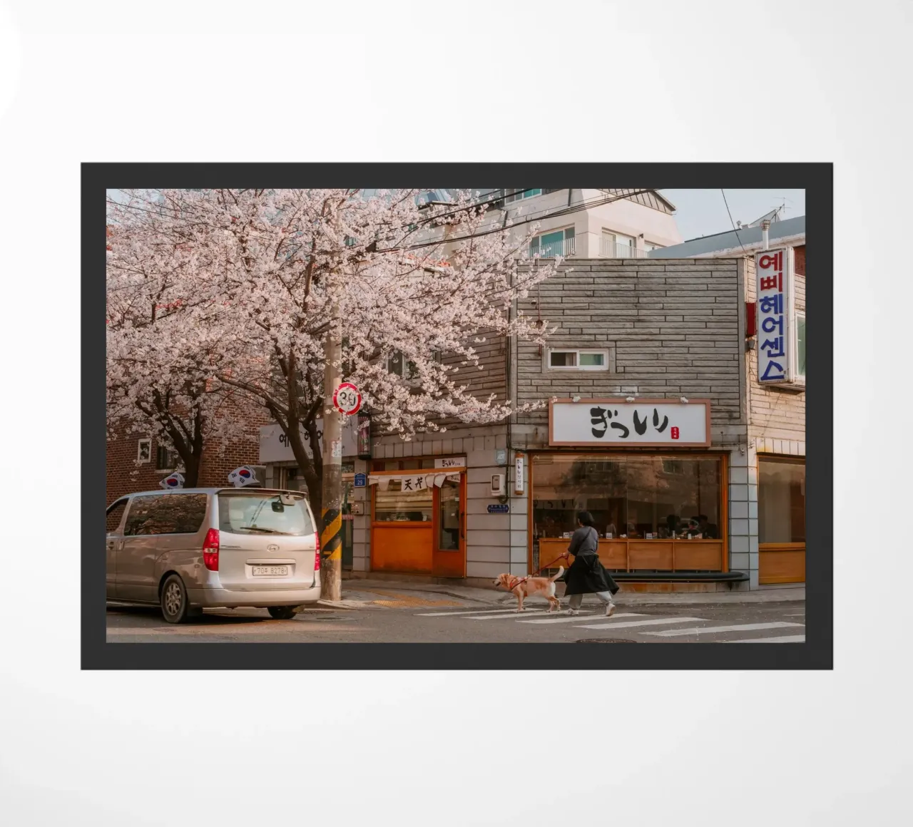La via dei ciliegi in fiore a Seul, Corea del Sud zerbino da mbgraphx2