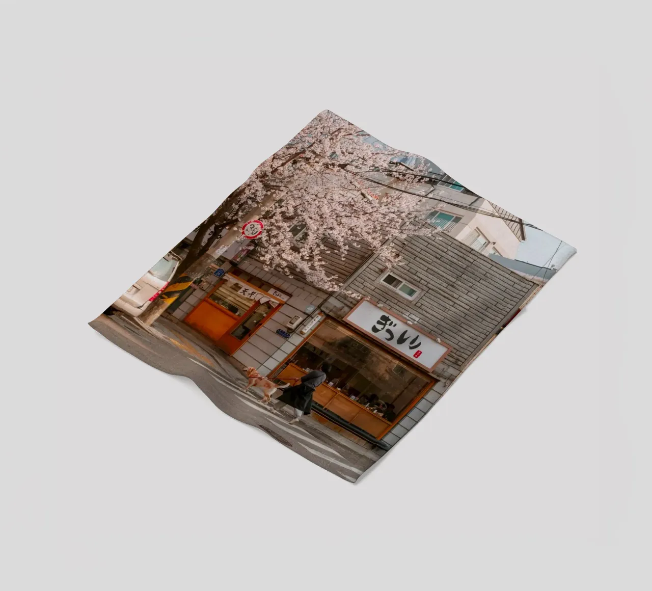 La via dei ciliegi in fiore a Seul, Corea del Sud coperta in pile da mbgraphx2