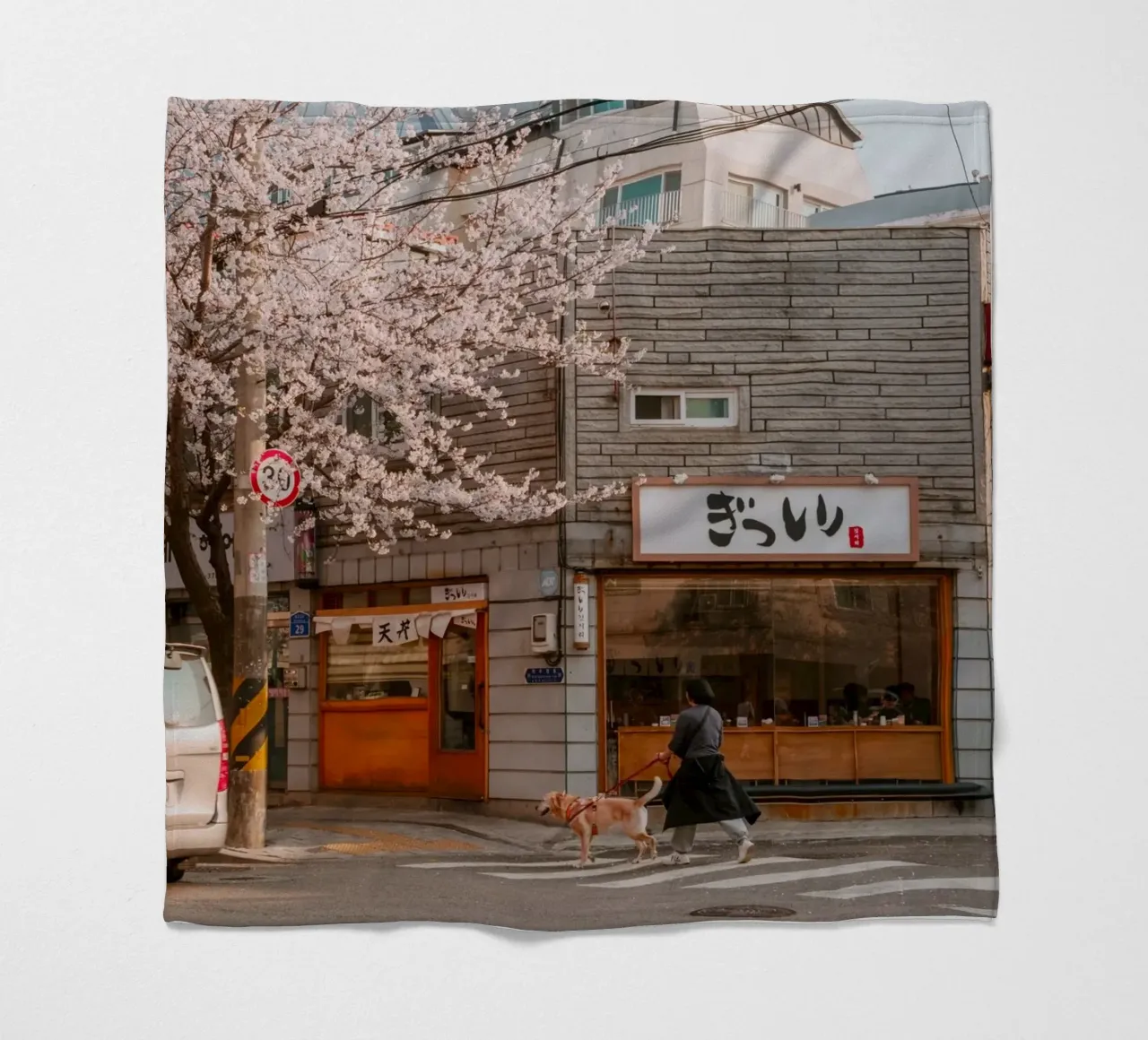 La via dei ciliegi in fiore a Seul, Corea del Sud coperta in pile da mbgraphx2