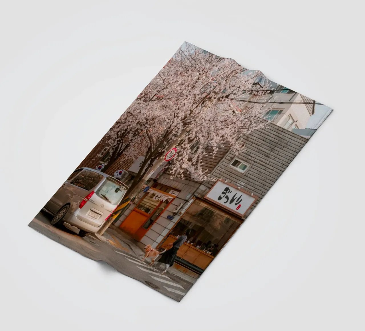 La via dei ciliegi in fiore a Seul, Corea del Sud coperta in pile da mbgraphx2