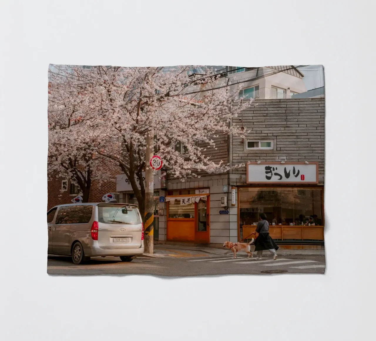 La via dei ciliegi in fiore a Seul, Corea del Sud coperta in pile da mbgraphx2