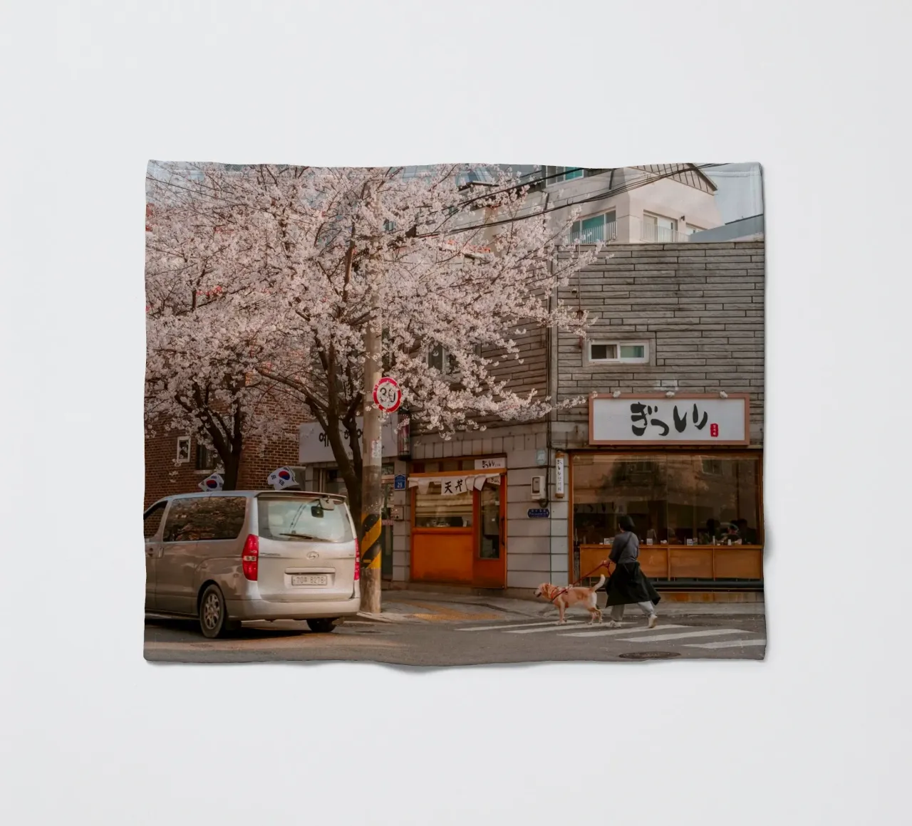 La via dei ciliegi in fiore a Seul, Corea del Sud coperta in pile da mbgraphx2