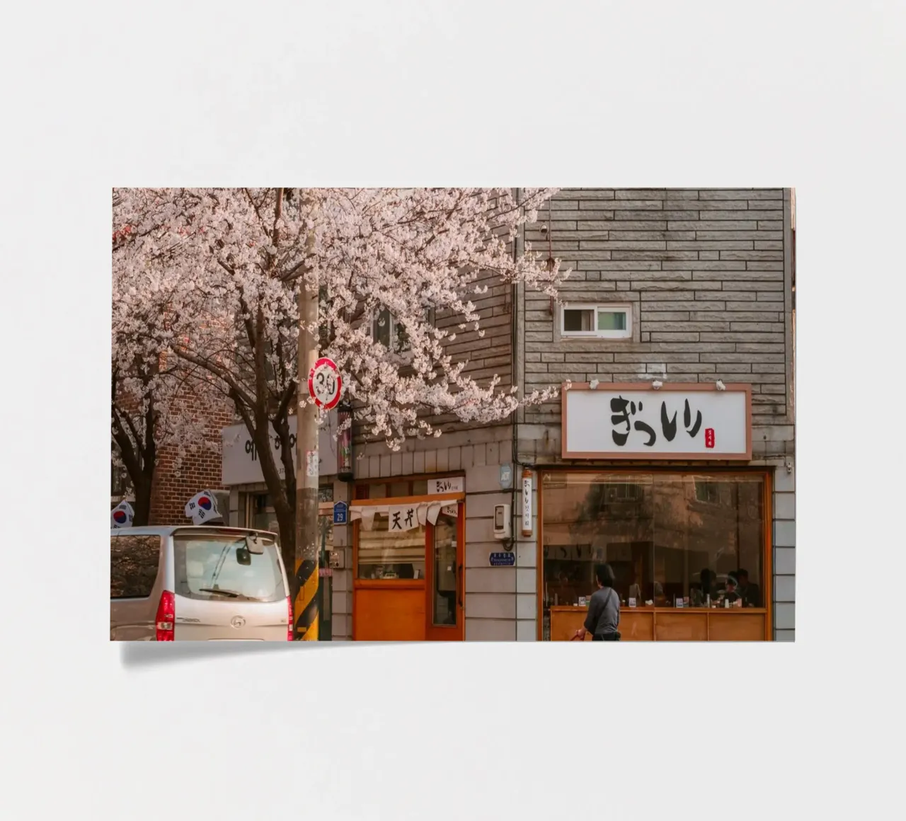 La via dei ciliegi in fiore a Seul, Corea del Sud foglio adesivo da mbgraphx2