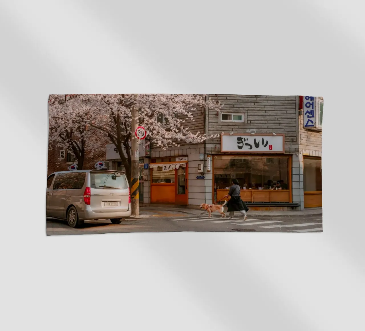 La via dei ciliegi in fiore a Seul, Corea del Sud telo mare da mbgraphx2