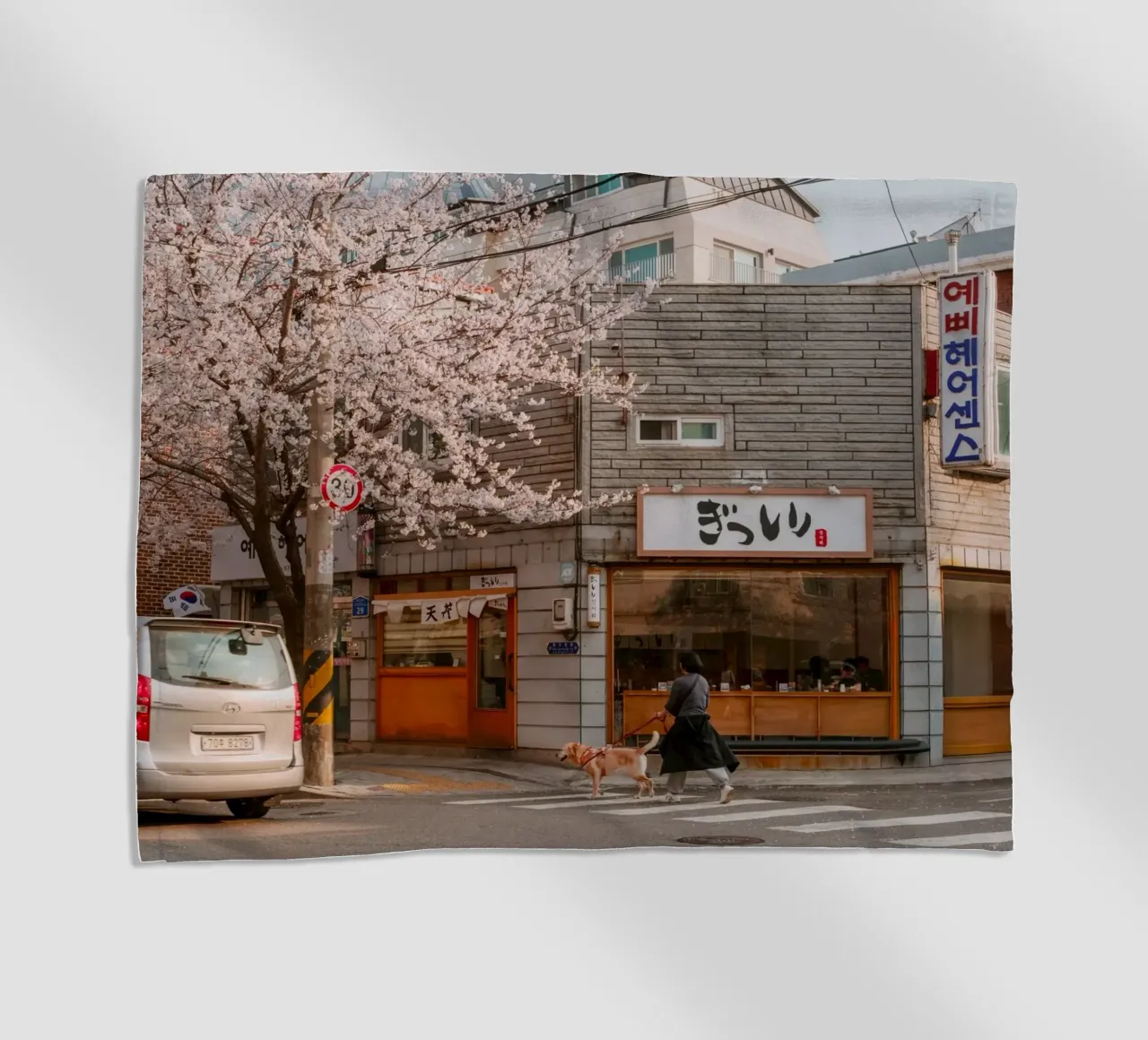 La via dei ciliegi in fiore a Seul, Corea del Sud telo mare da mbgraphx2