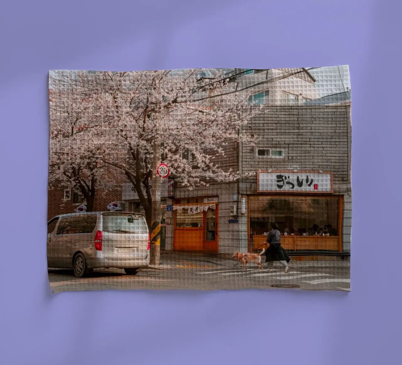 La via dei ciliegi in fiore a Seul, Corea del Sud canovaccio da cucina da mbgraphx2