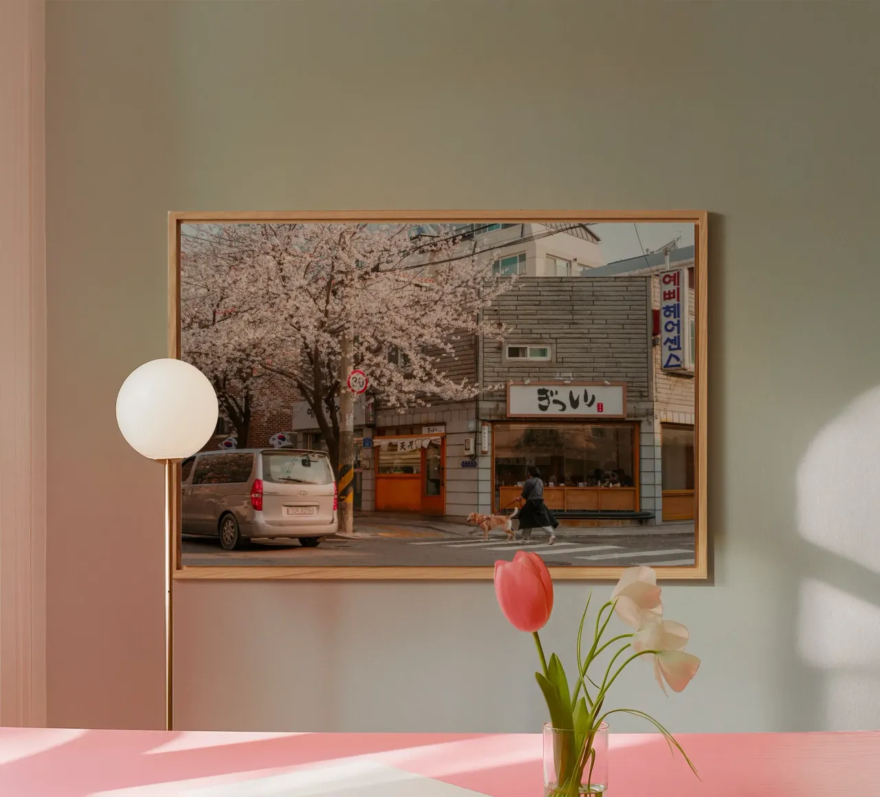 La via dei ciliegi in fiore a Seul, Corea del Sud alluminio dibond da mbgraphx2