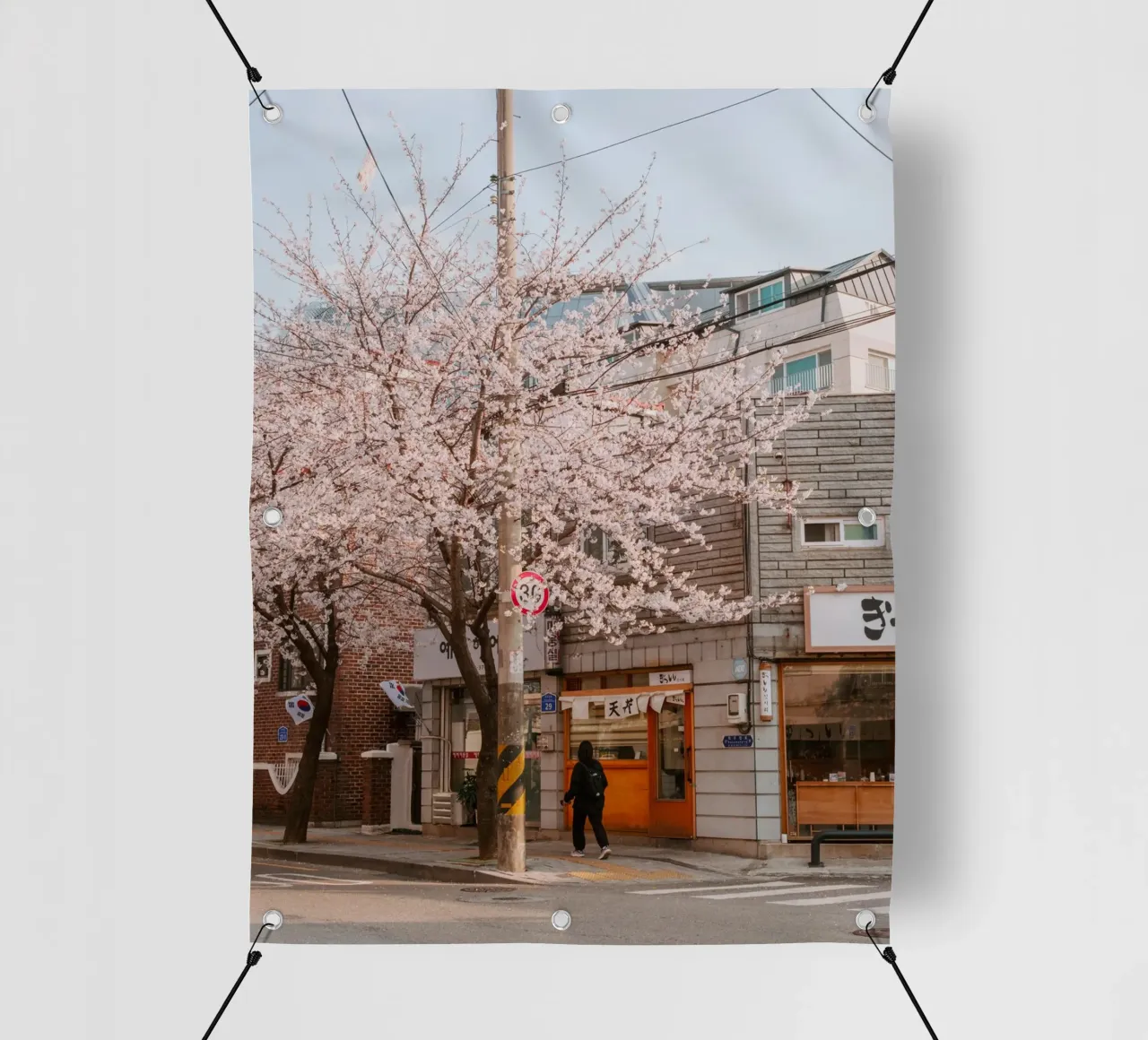 La via dei ciliegi in fiore a Seul, Corea del Sud telo in pvc da mbgraphx2