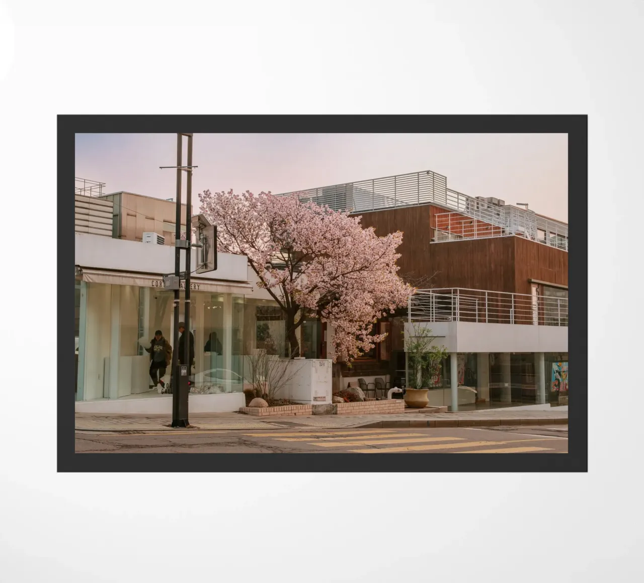 Alba dei ciliegi in fiore a Seul, Corea del Sud zerbino da mbgraphx2