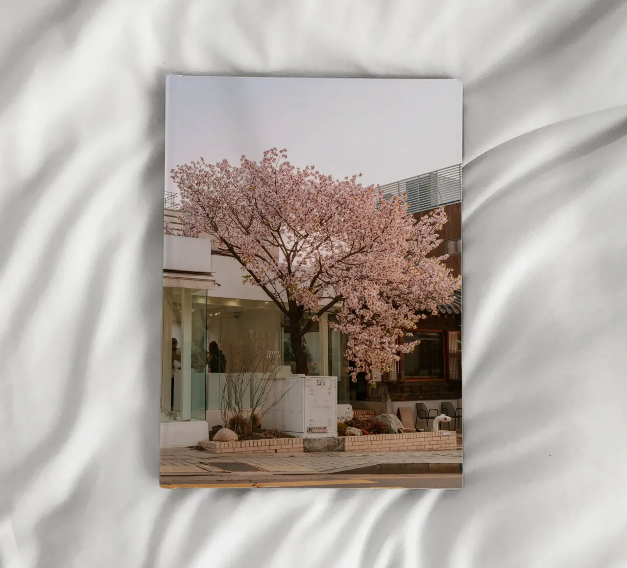 Alba dei ciliegi in fiore a Seul, Corea del Sud diario da mbgraphx2