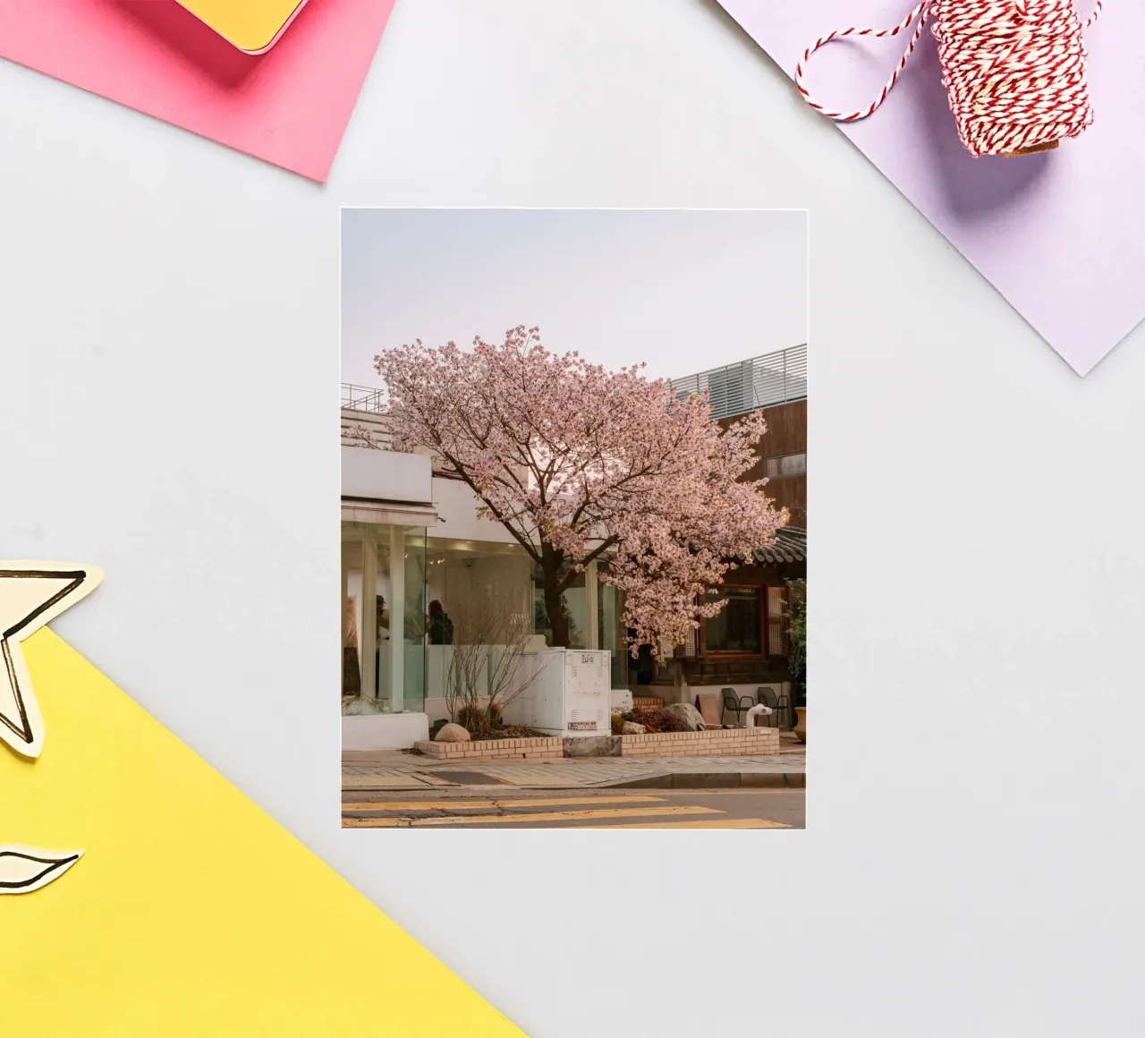 Alba dei ciliegi in fiore a Seul, Corea del Sud adesivo da mbgraphx2