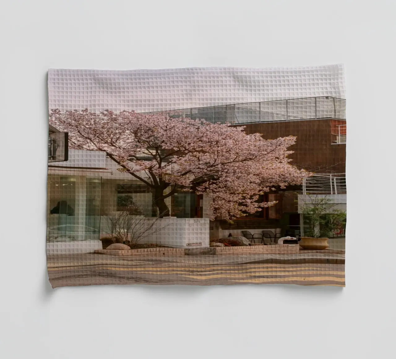 Alba dei ciliegi in fiore a Seul, Corea del Sud canovaccio da cucina da mbgraphx2