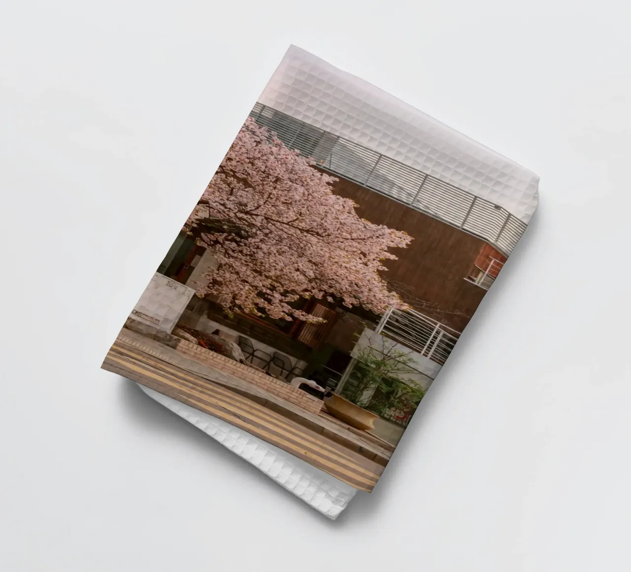 Alba dei ciliegi in fiore a Seul, Corea del Sud canovaccio da cucina da mbgraphx2