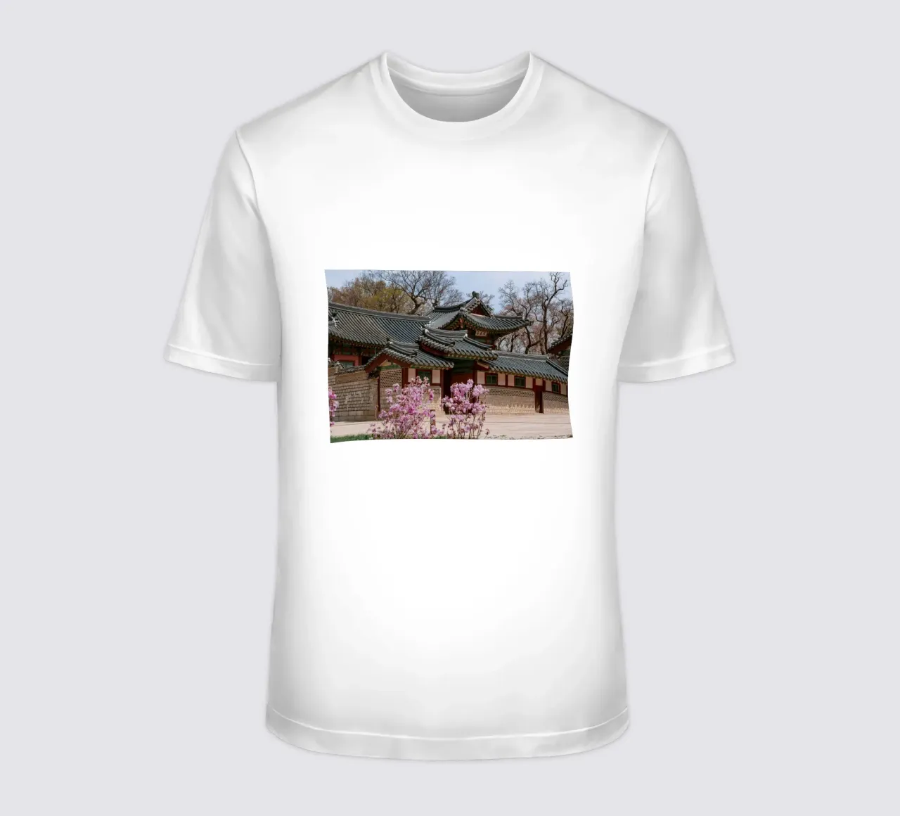 Palazzo Changdeokgung a Seul, Corea del Sud t-shirt da mbgraphx2
