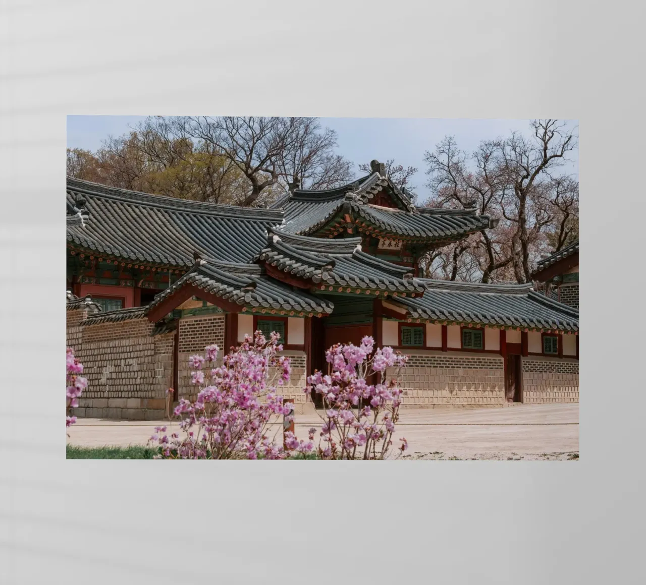 Palazzo Changdeokgung a Seul, Corea del Sud pellicola backlit da mbgraphx2