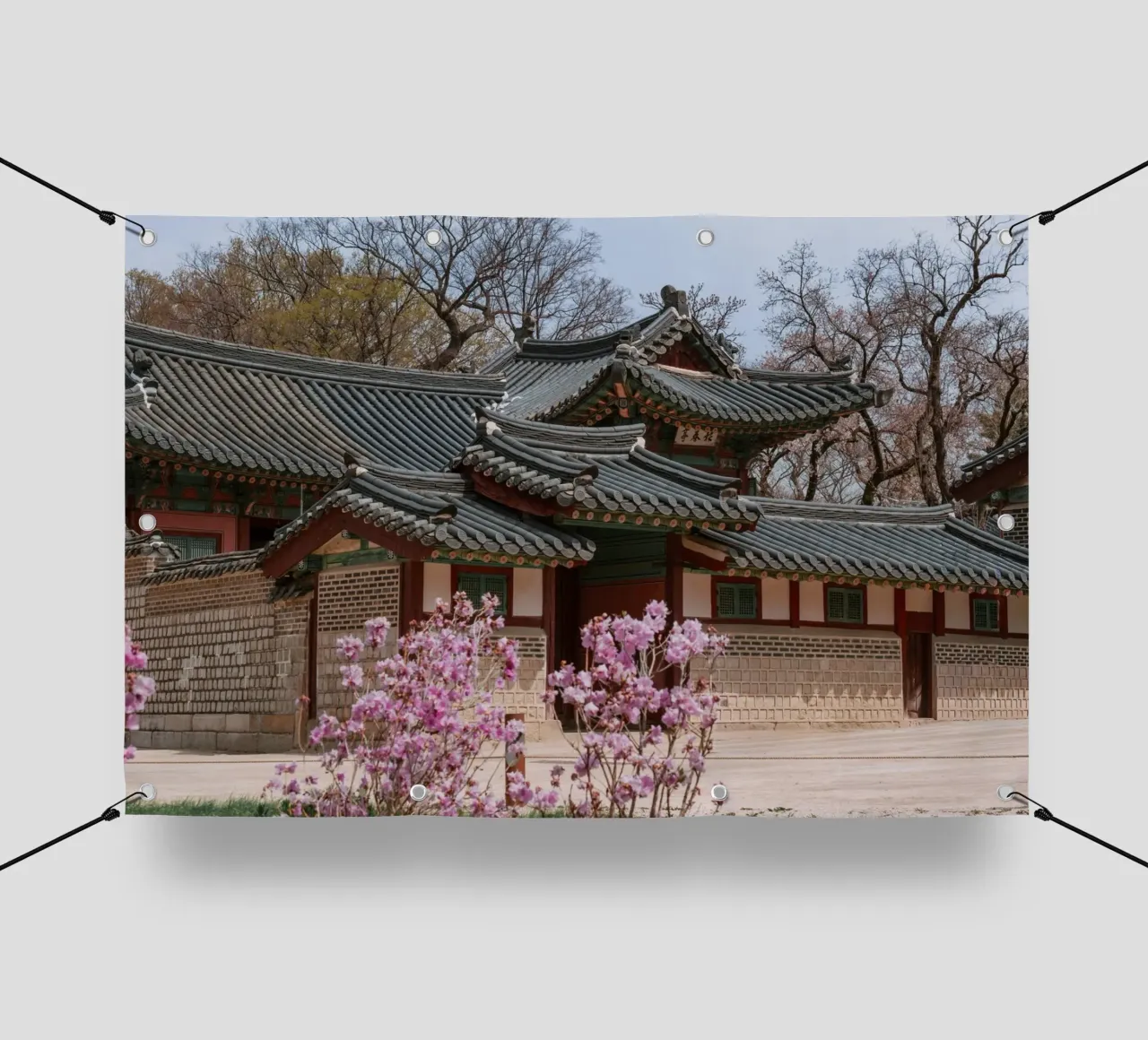 Palazzo Changdeokgung a Seul, Corea del Sud telo in pvc da mbgraphx2