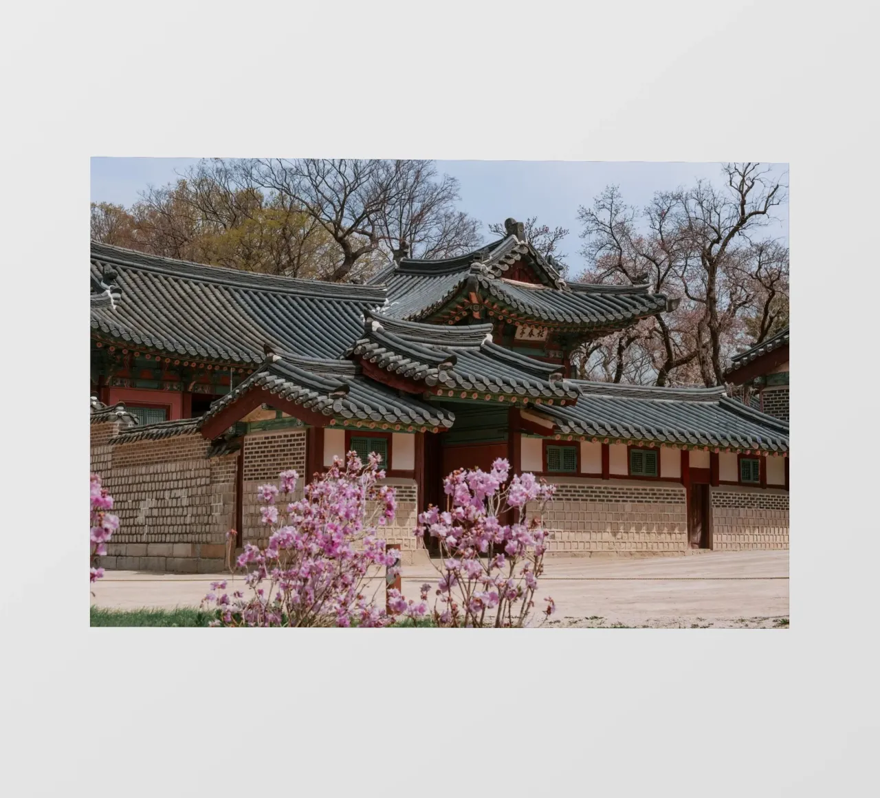 Palazzo Changdeokgung a Seul, Corea del Sud telo in pvc da mbgraphx2