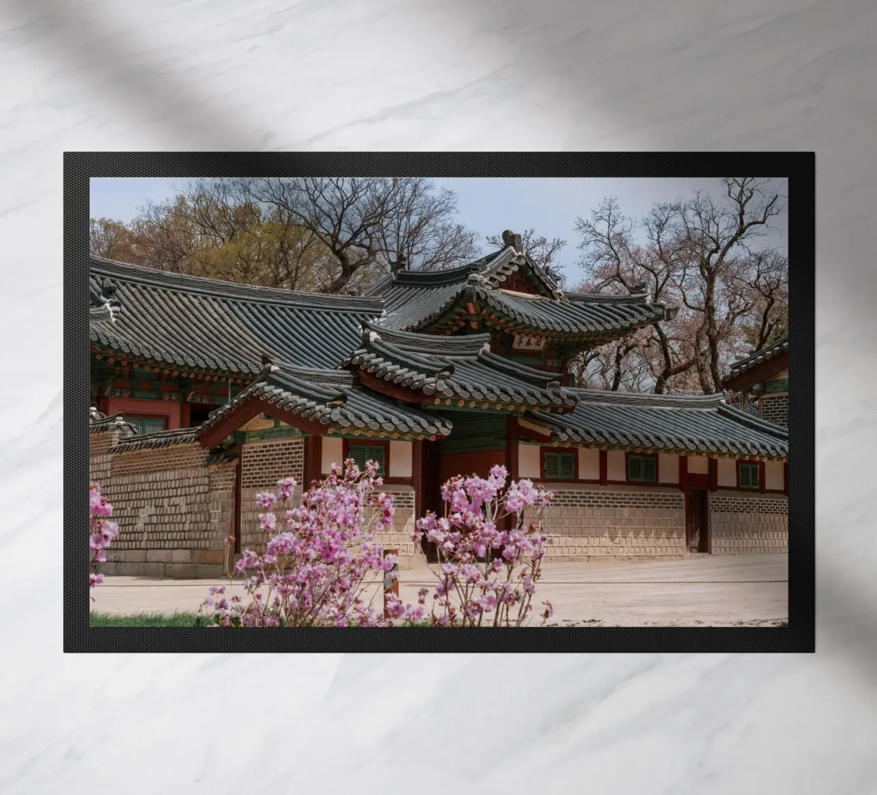 Palazzo Changdeokgung a Seul, Corea del Sud zerbino da mbgraphx2