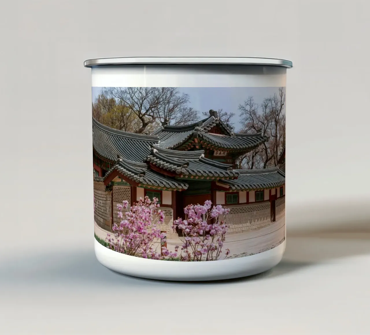 Palazzo Changdeokgung a Seul, Corea del Sud tazza in smalto da mbgraphx2