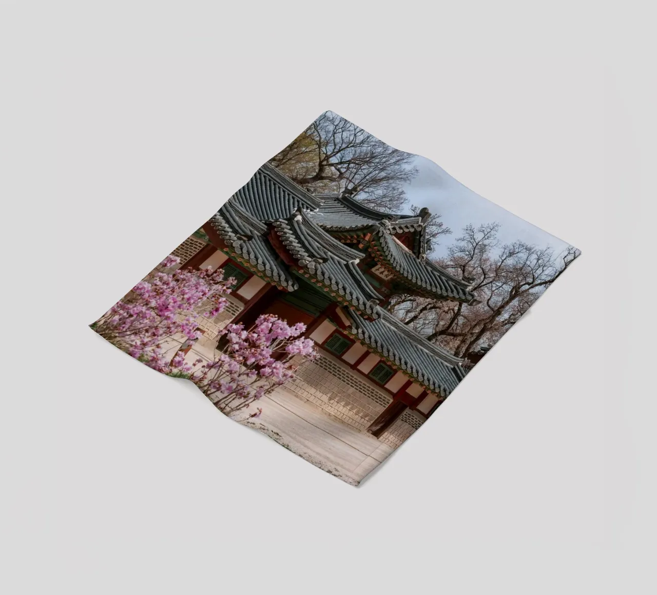 Palazzo Changdeokgung a Seul, Corea del Sud coperta in pile da mbgraphx2