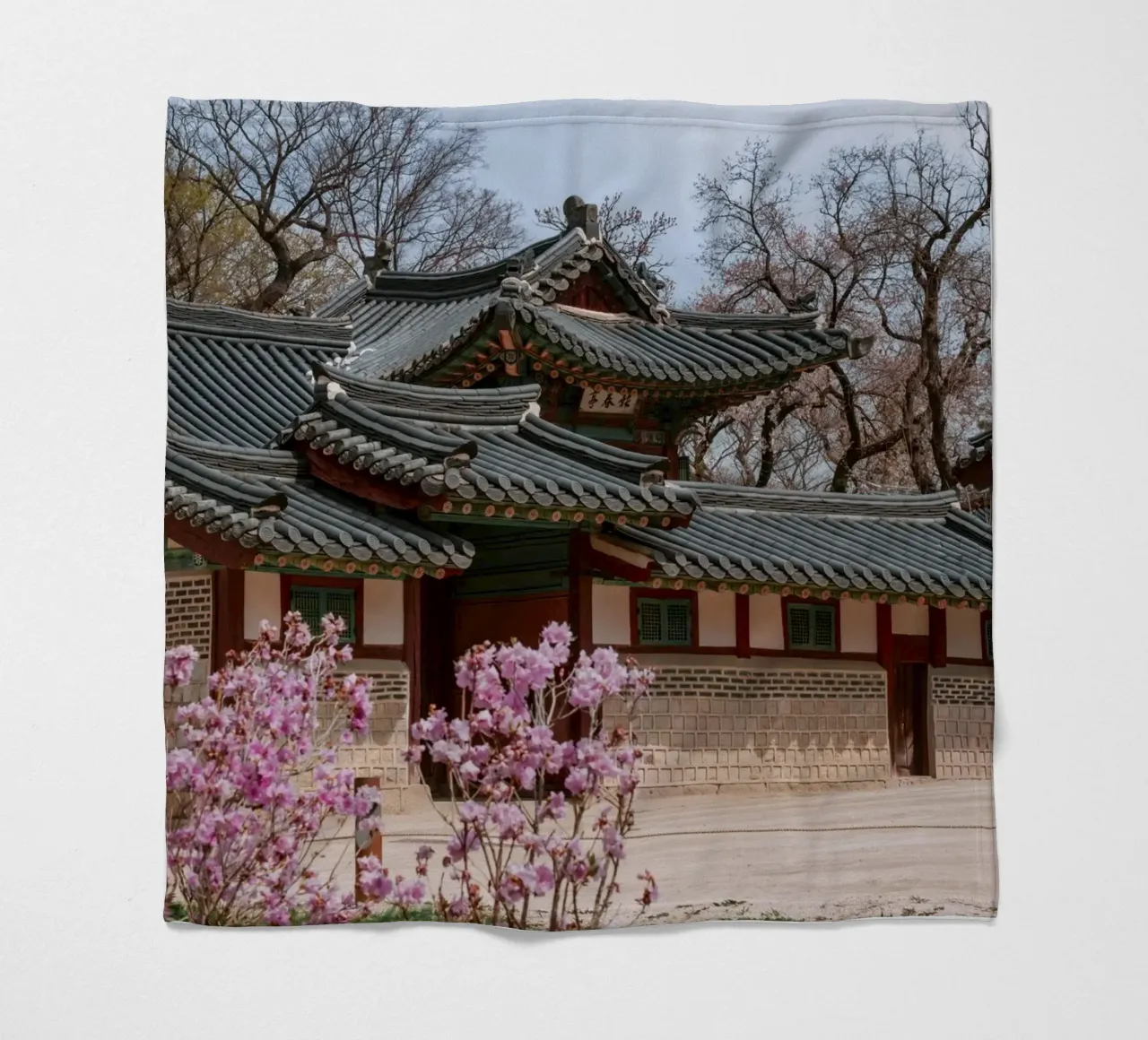 Palazzo Changdeokgung a Seul, Corea del Sud coperta in pile da mbgraphx2
