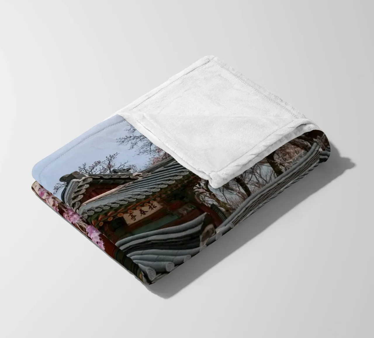 Palazzo Changdeokgung a Seul, Corea del Sud coperta in pile da mbgraphx2