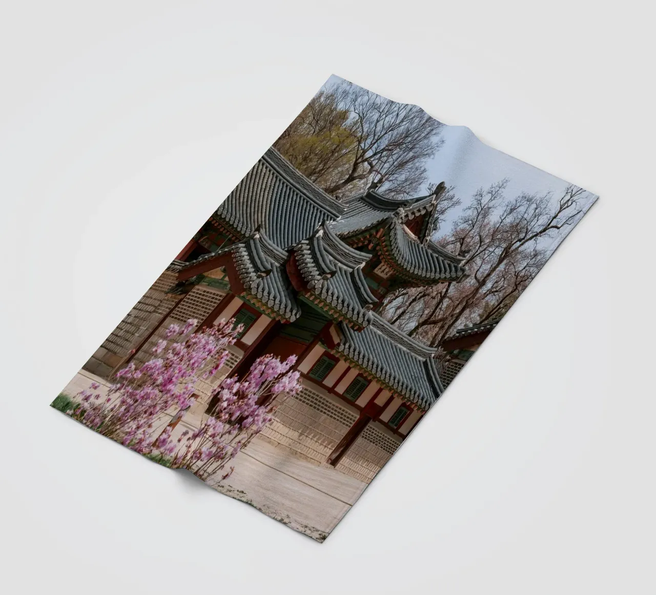 Palazzo Changdeokgung a Seul, Corea del Sud coperta in pile da mbgraphx2