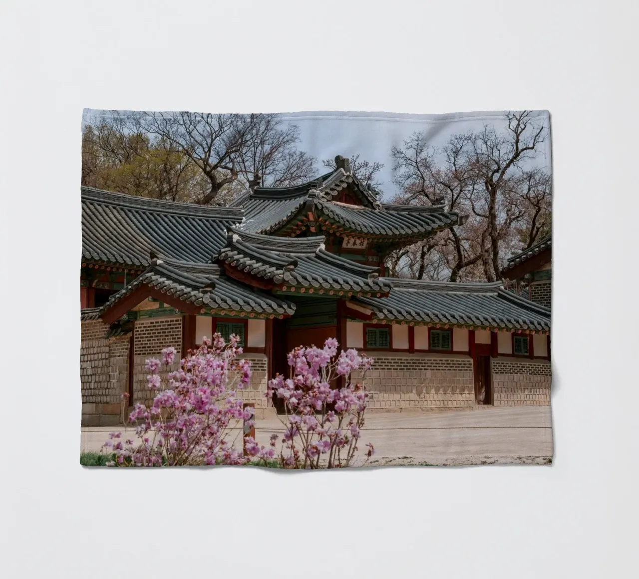 Palazzo Changdeokgung a Seul, Corea del Sud coperta in pile da mbgraphx2