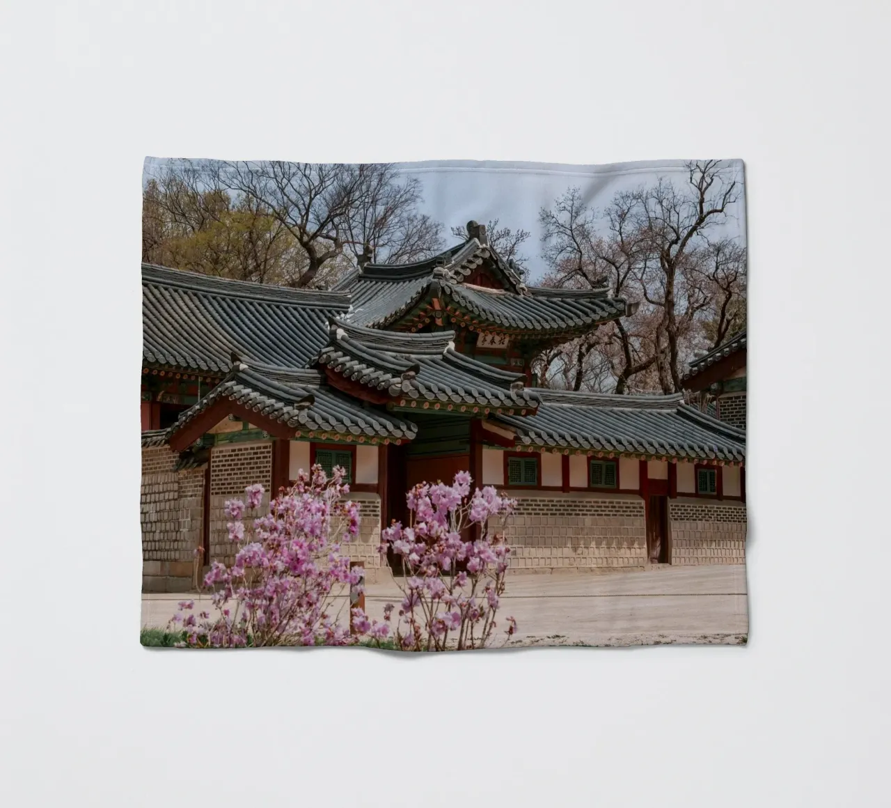 Palazzo Changdeokgung a Seul, Corea del Sud coperta in pile da mbgraphx2