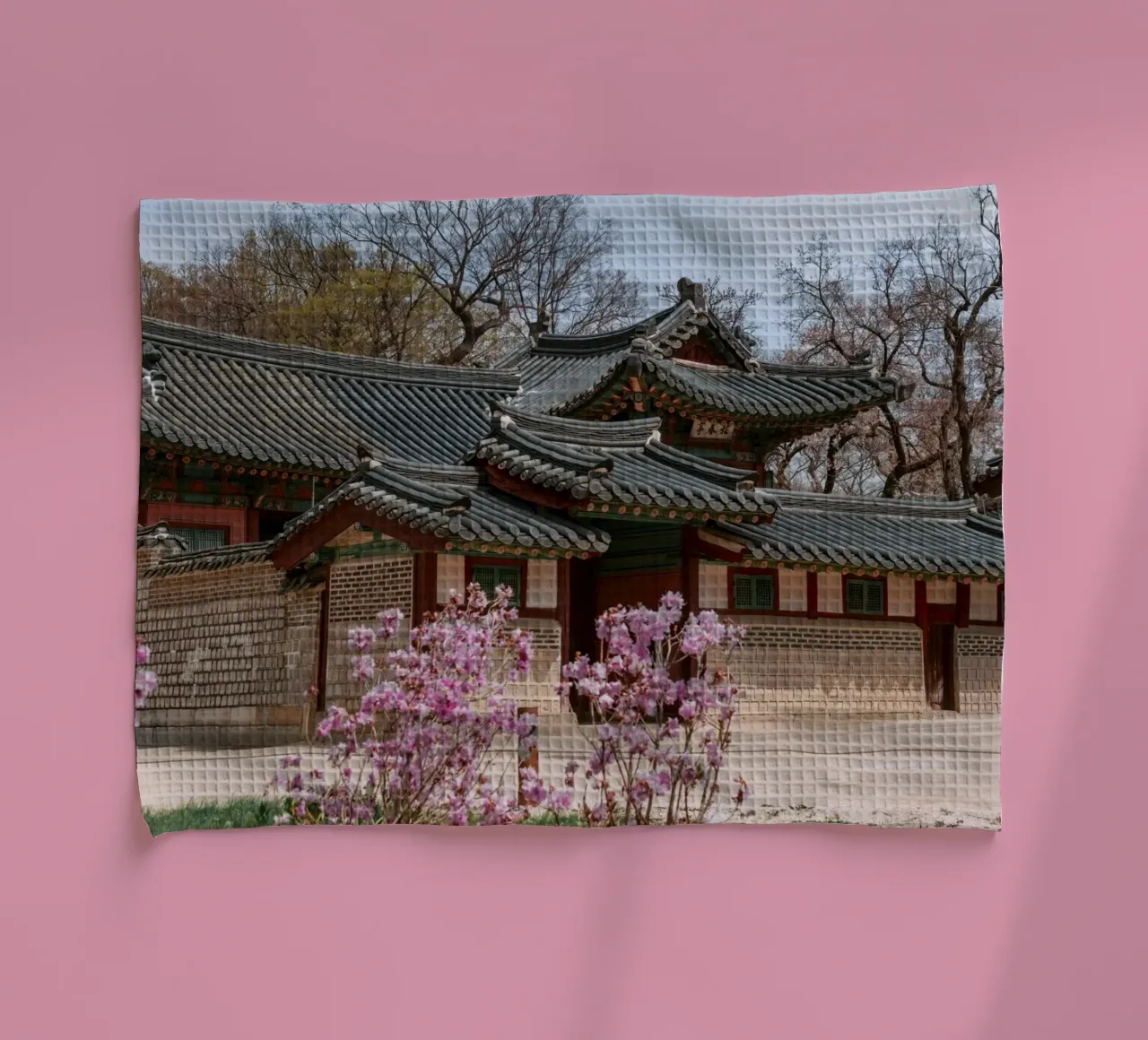 Palazzo Changdeokgung a Seul, Corea del Sud canovaccio da cucina da mbgraphx2