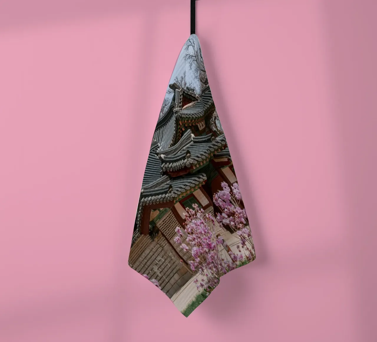 Palazzo Changdeokgung a Seul, Corea del Sud canovaccio da cucina da mbgraphx2