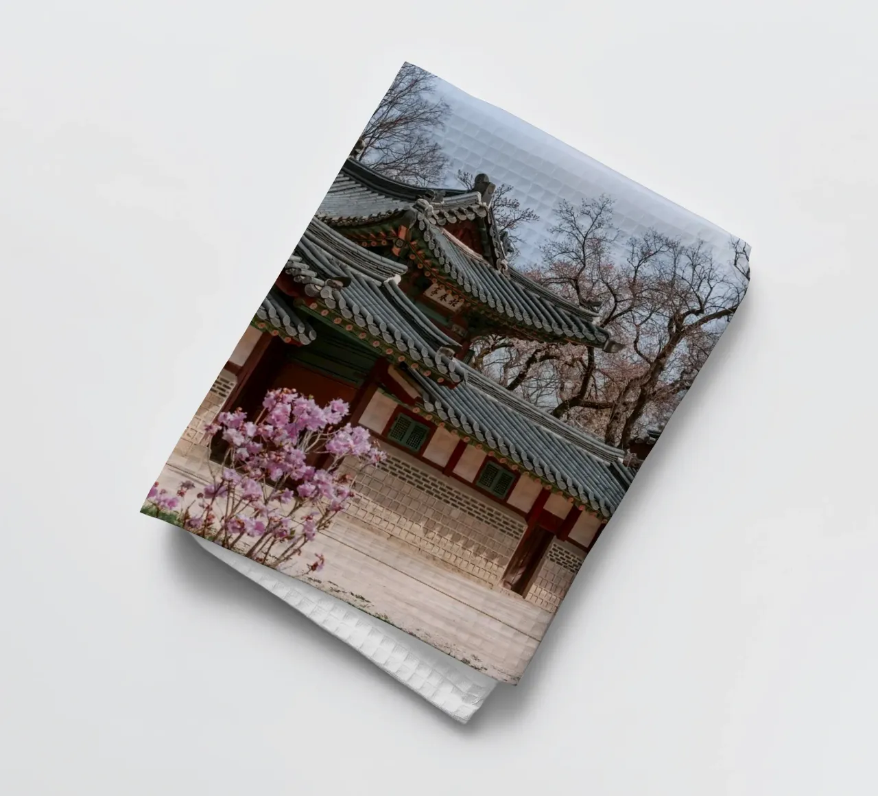 Palazzo Changdeokgung a Seul, Corea del Sud canovaccio da cucina da mbgraphx2
