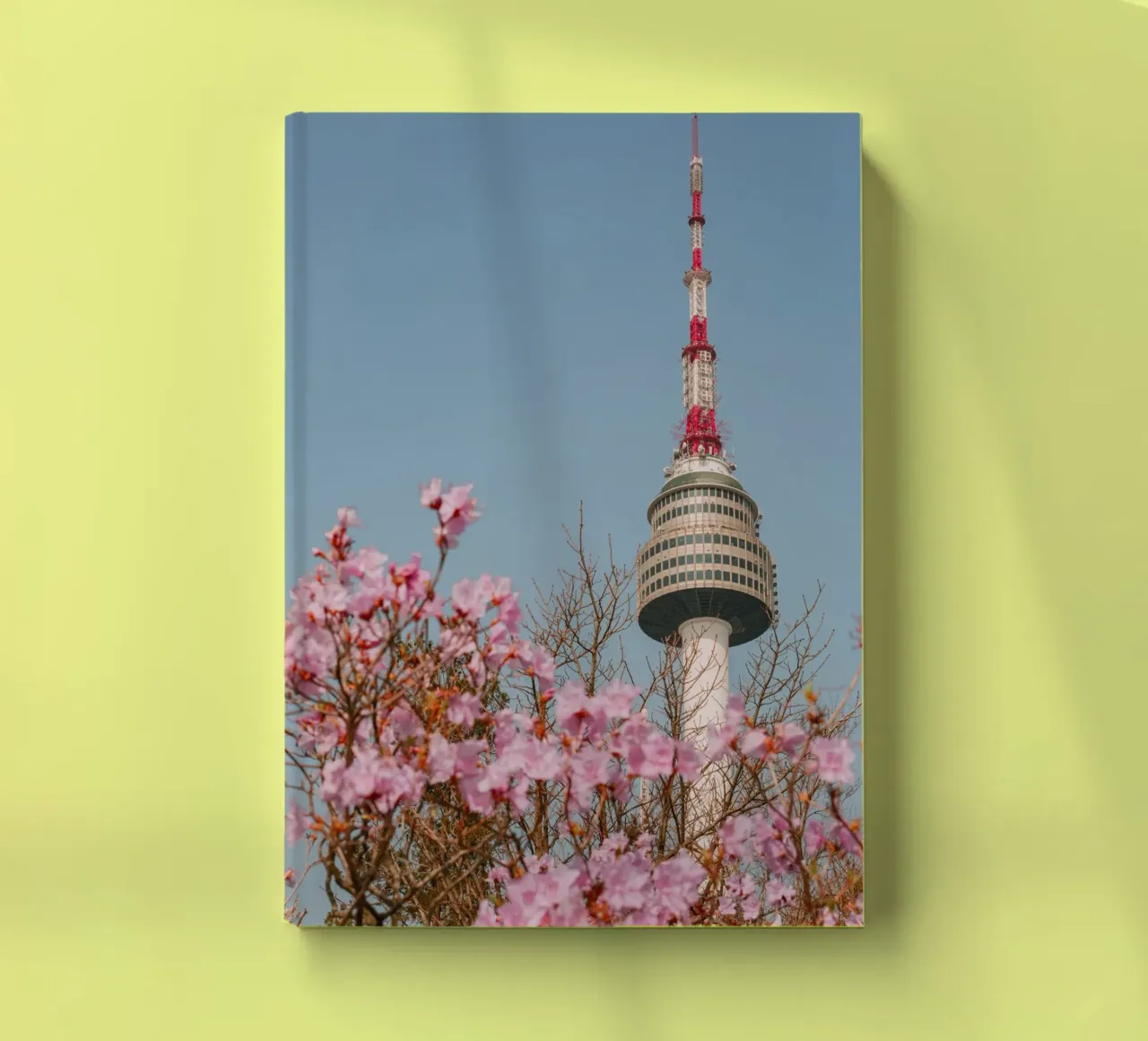 Torre Namsan a Seul, Corea del Sud diario da mbgraphx2