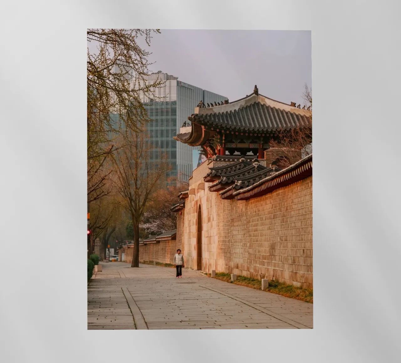 Mattina presto a Seul, Corea del Sud pellicola backlit da mbgraphx2