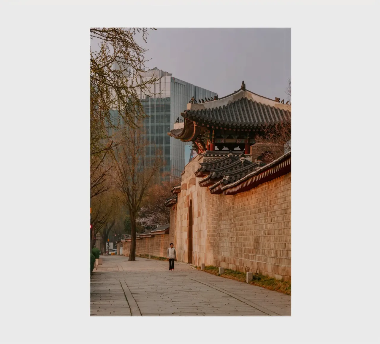 Mattina presto a Seul, Corea del Sud diario da mbgraphx2