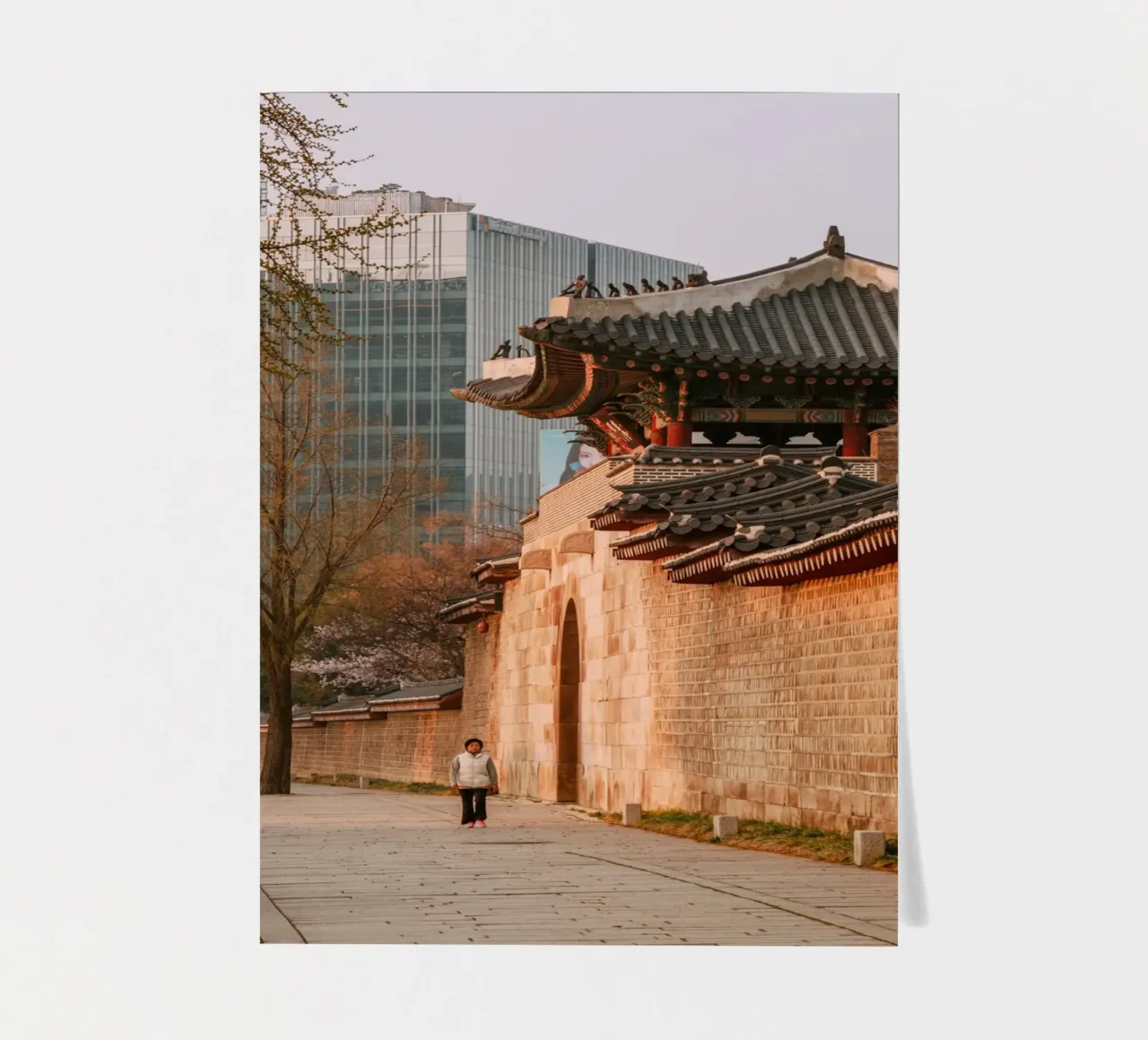 Mattina presto a Seul, Corea del Sud foglio adesivo da mbgraphx2