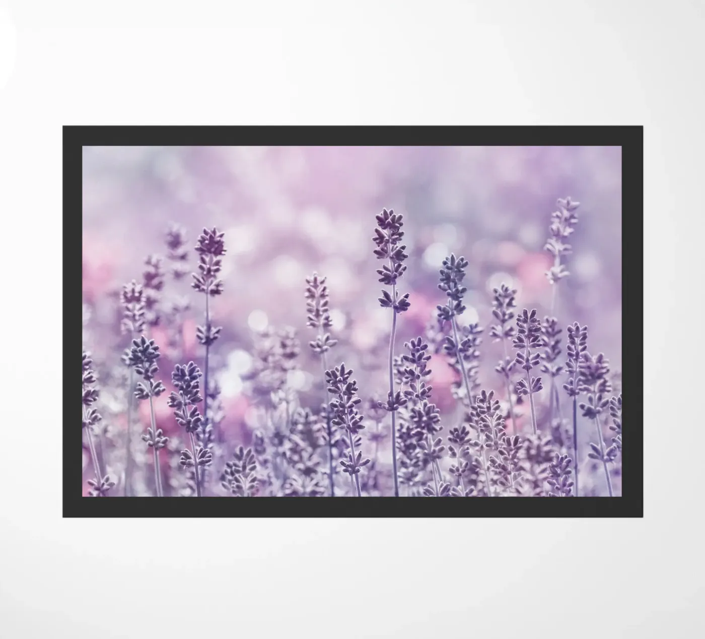 Lavanda zerbino da Atteloi
