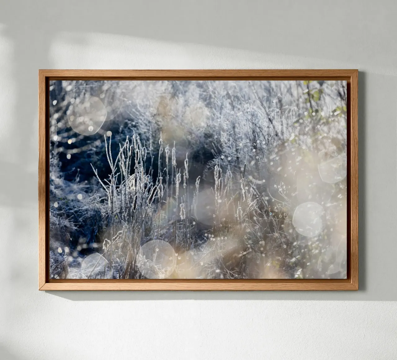 A Winter Morning 3 Leinwand von Mareike Böhmer Photography