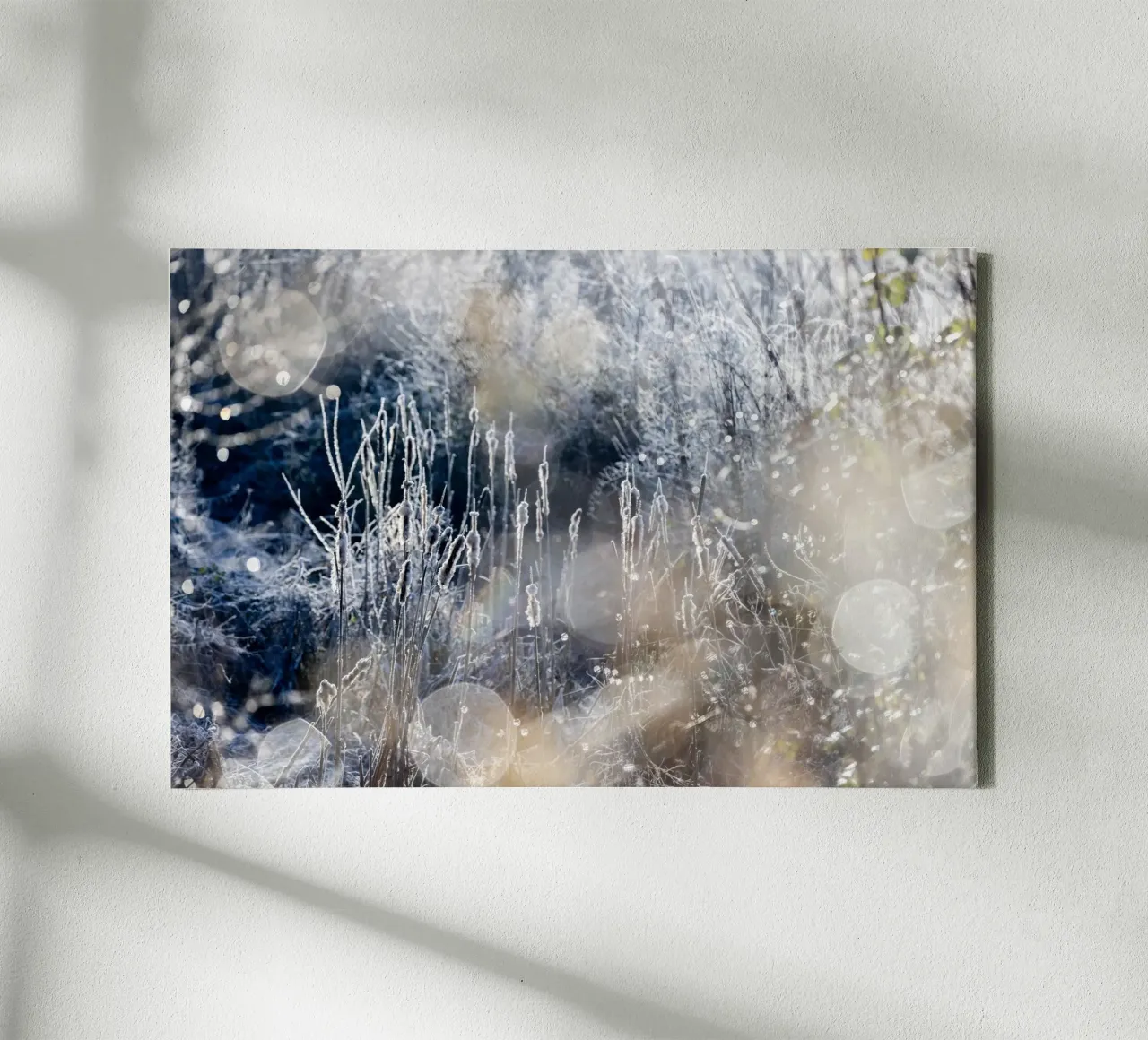 A Winter Morning 3 Leinwand von Mareike Böhmer Photography