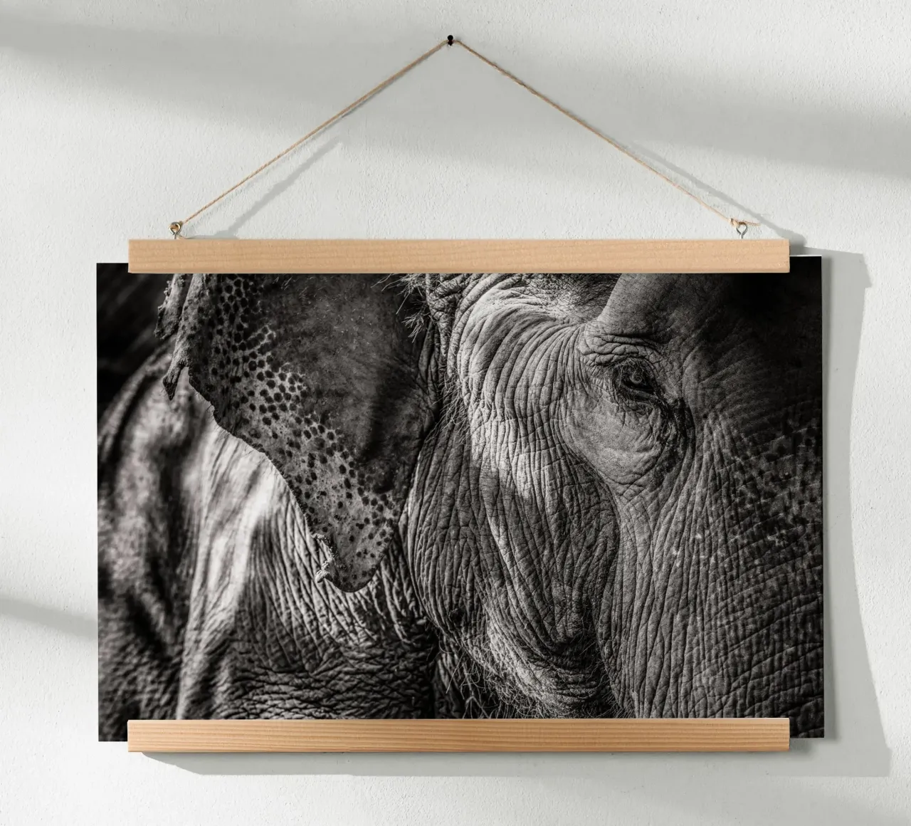 Elephant poster da bwphoto