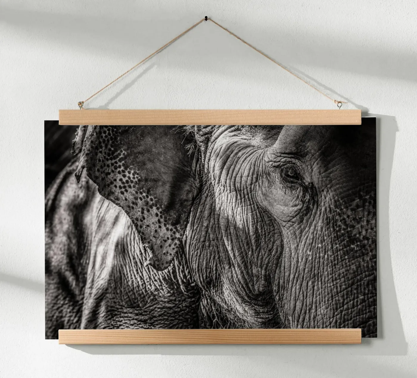 Elephant poster by bwphoto