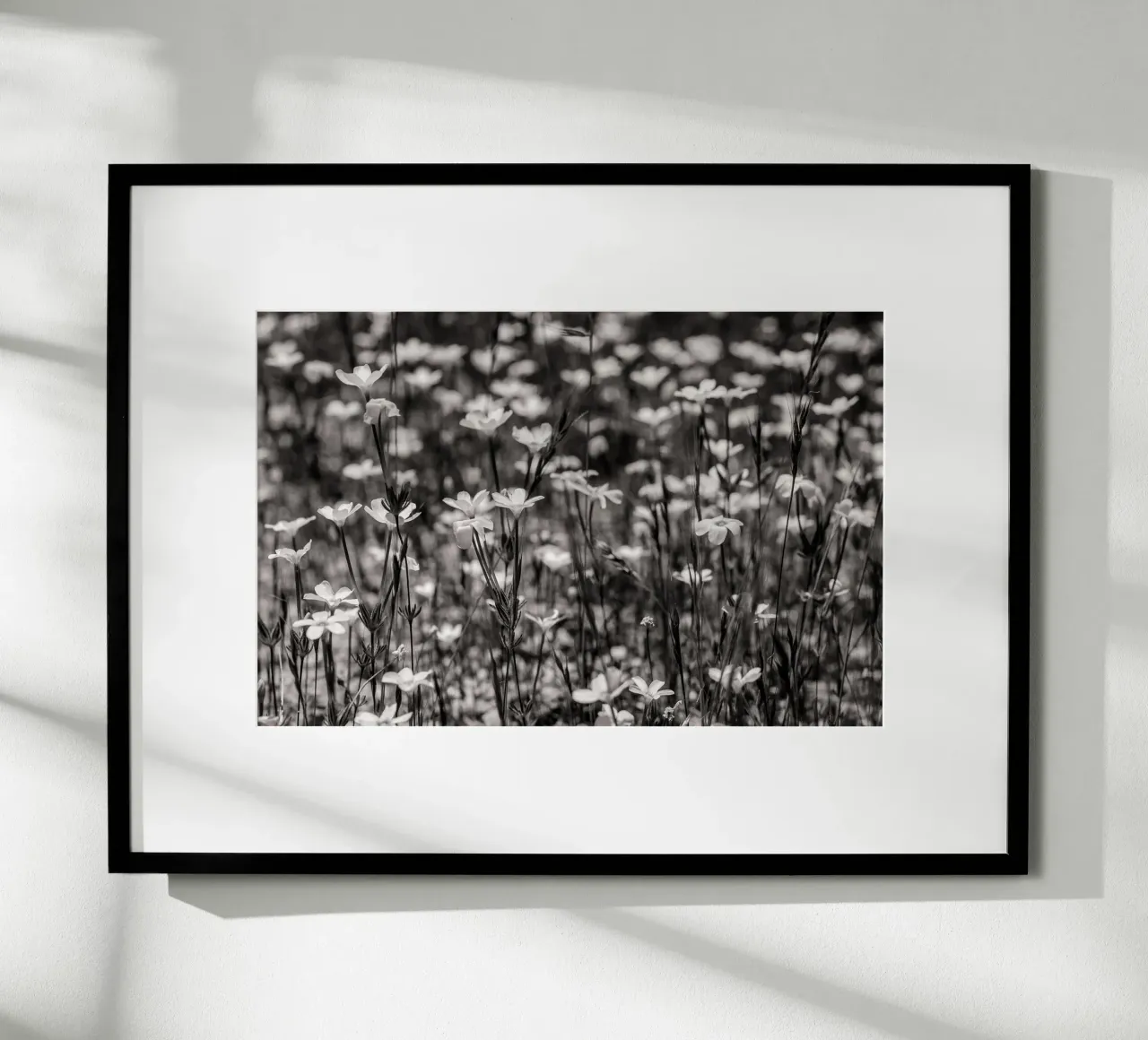 Tiny Wildflowers poster da bwphoto