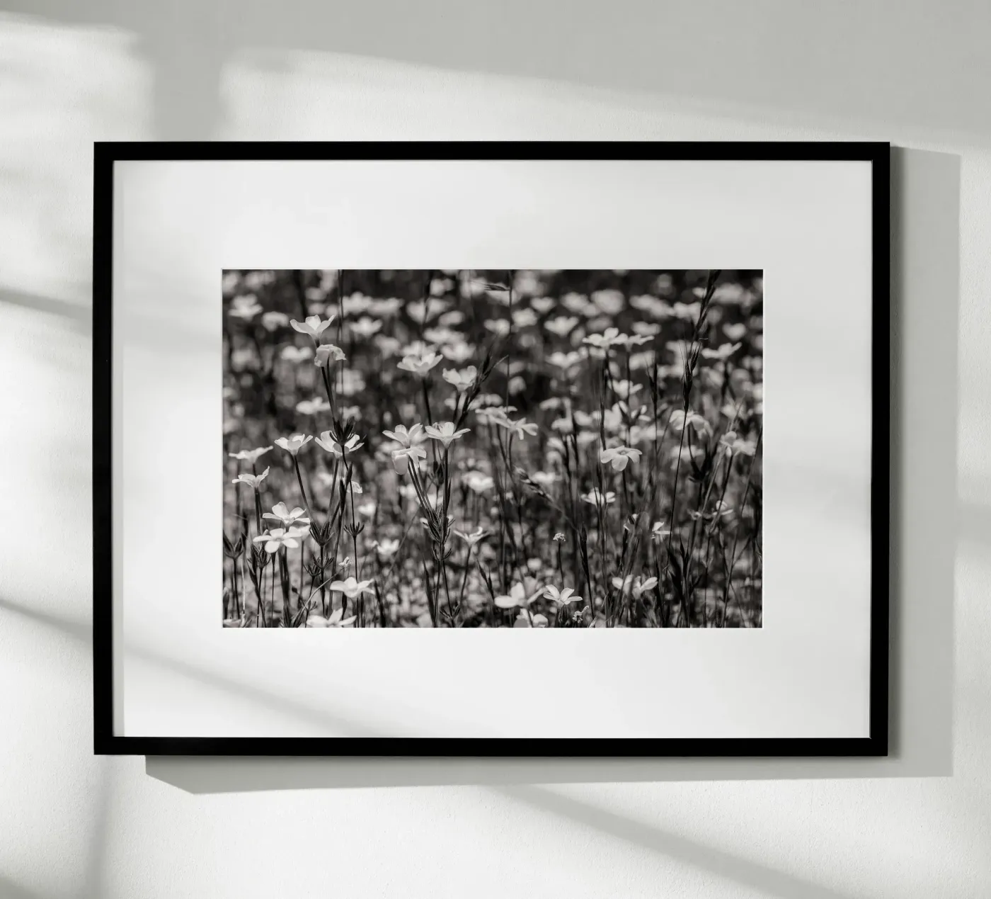 Tiny Wildflowers Poster von bwphoto