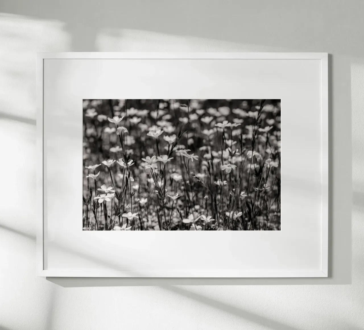 Tiny Wildflowers poster da bwphoto