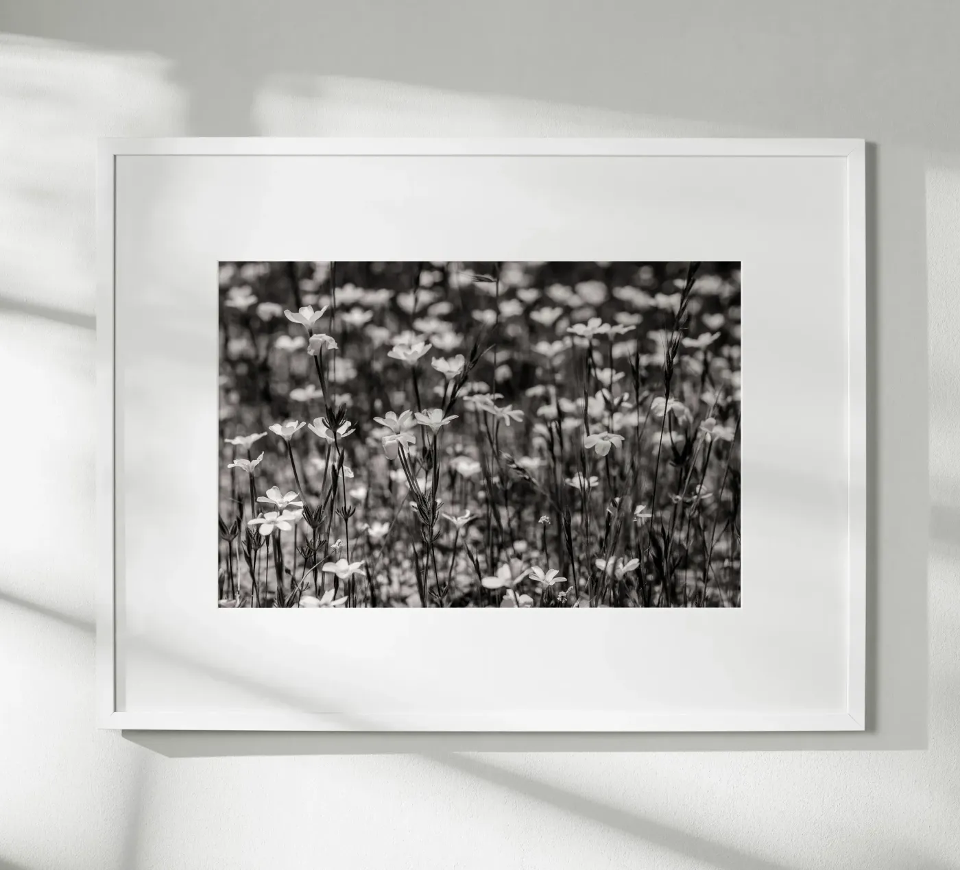 Tiny Wildflowers Poster von bwphoto