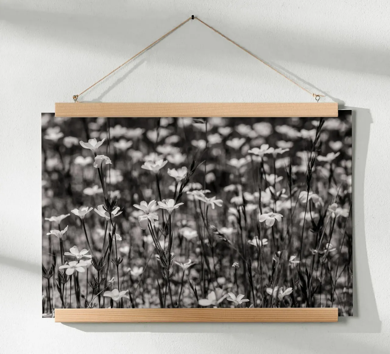 Tiny Wildflowers poster da bwphoto