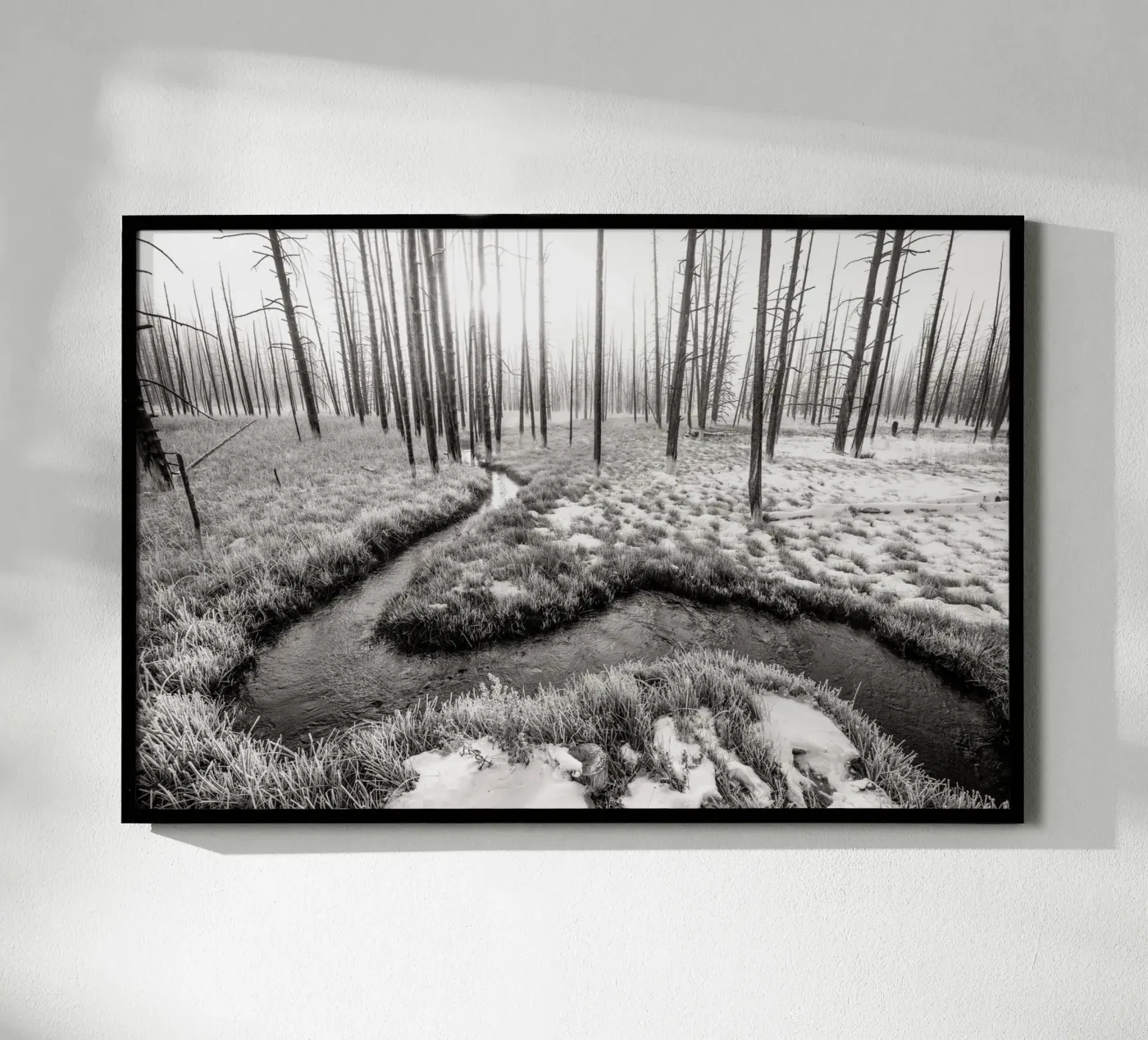 Winter Forest Landscape poster da bwphoto