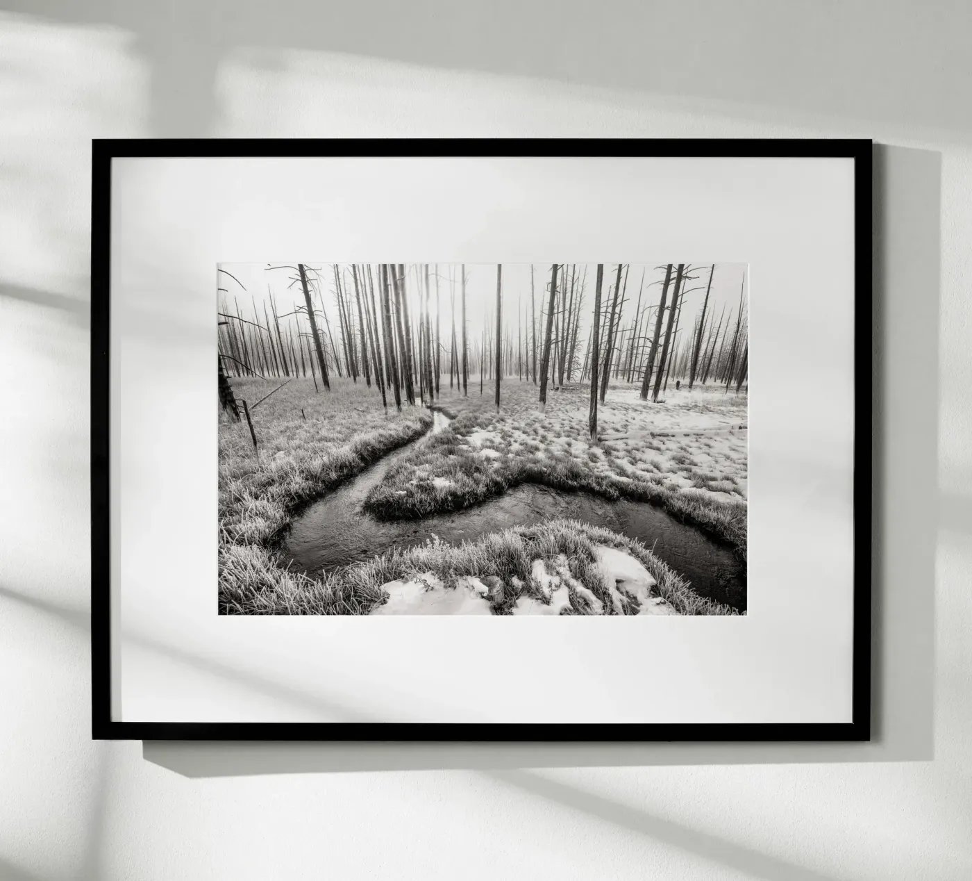 Winter Forest Landscape poster da bwphoto